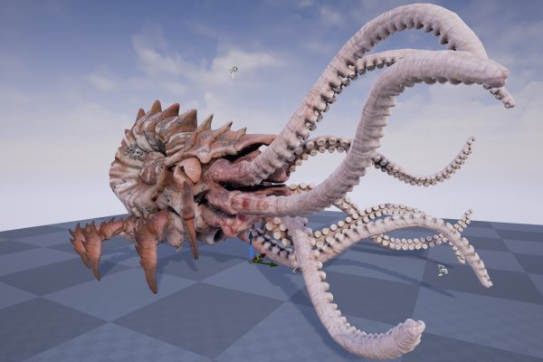 Kraken19at