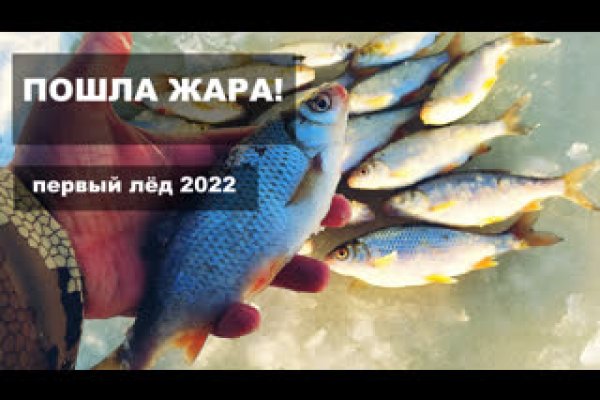 Кракен зеркало орион